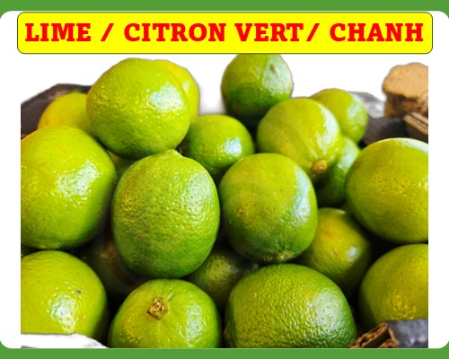 Lime/ Citron vert/ Chanh xanh