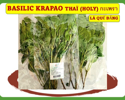 Basilic Thaï (KRAPAO) Quế đắng