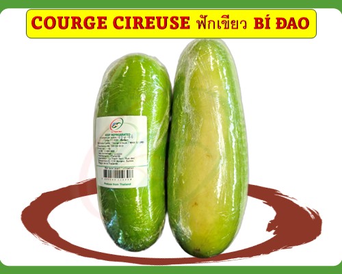 Courge cireuse ฟักเขียว Bí Đao