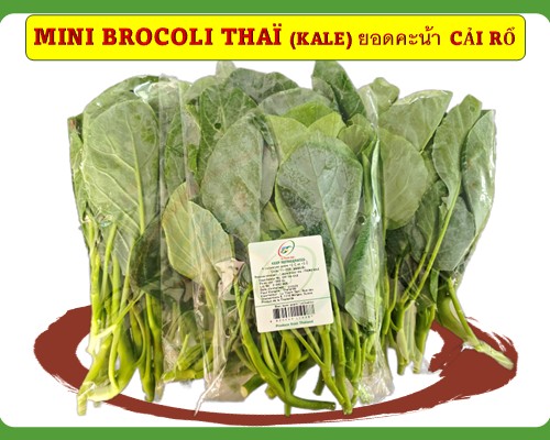 Brocoli Thaï/ Mini Kale Cải rổ