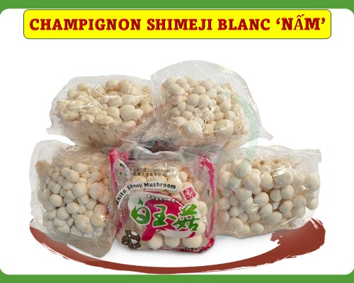 Champignon Shimeji blanc 'nấm hải sản'