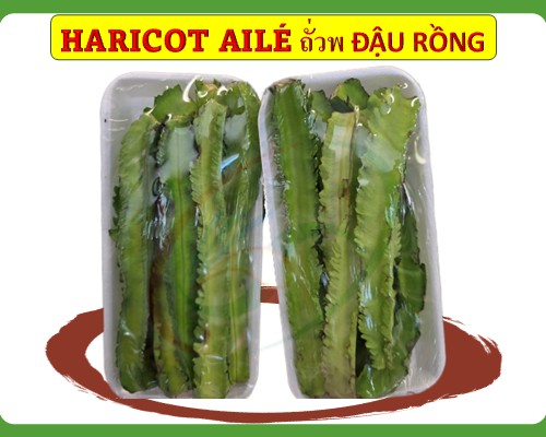 Haricot Ailé Đậu rồng ถั่วพ