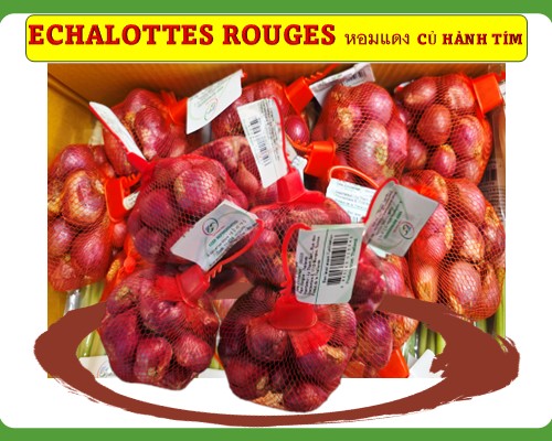 Echalottes rouges หอมแดง Củ hành tím