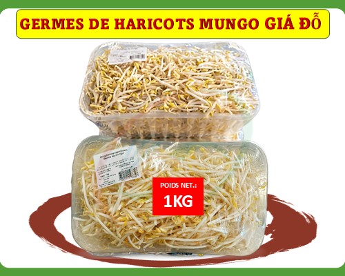 Germes de haricots mungo Giá tươi