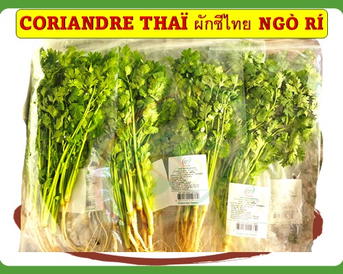Coriandre Thaï 80G Ngò rí
