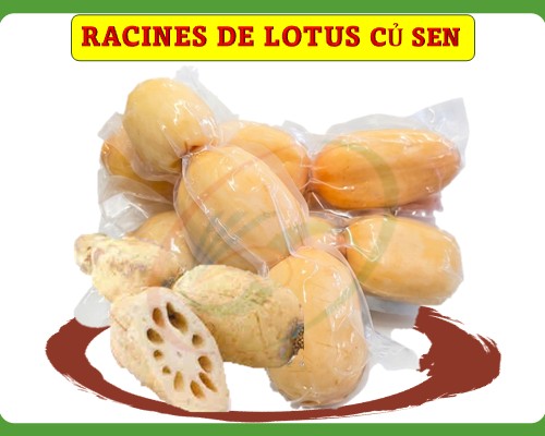 Racine de lotus Củ sen
