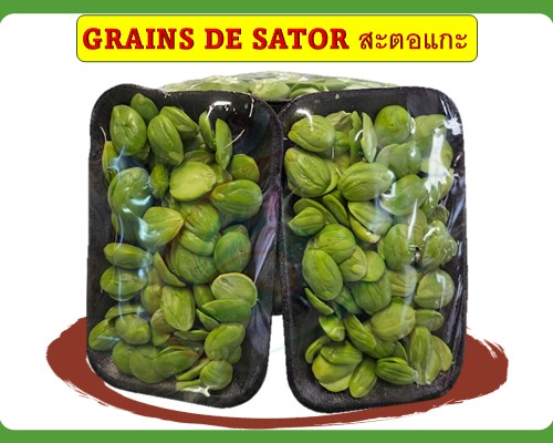 Grains de Sator สะตอแกะ Đậu thúi