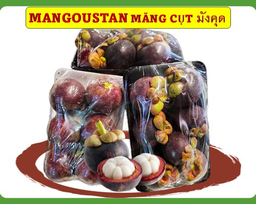 Mangoustan มังคุด Măng cụt