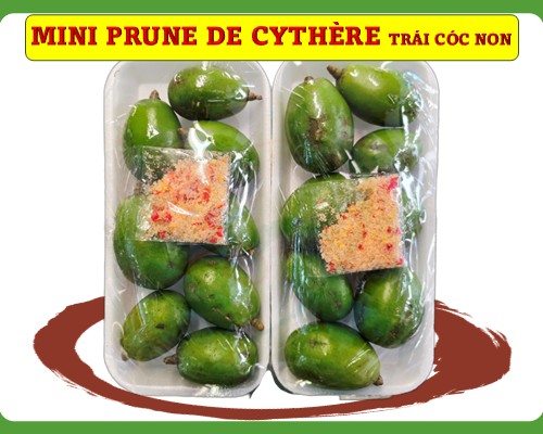 Mini prune de cythère Trái cóc non