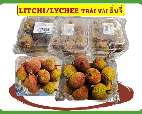 Litchi/ Lychee Trái vải ลิ้นจี่