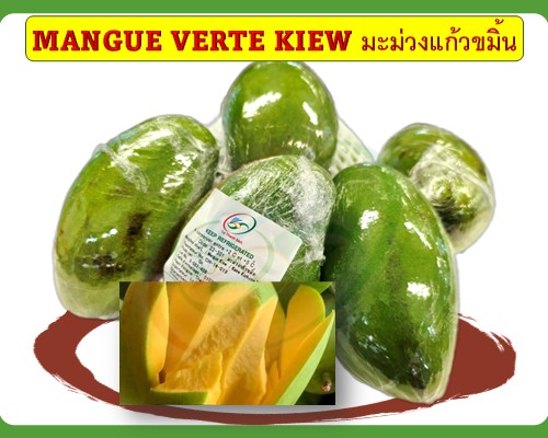 Mangue verte kiew มะม่วงแก้วขมิ้น