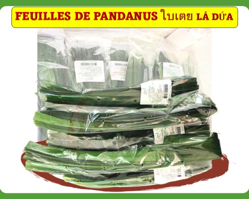 Feuilles de pandanus Lá dứa ใบเตย