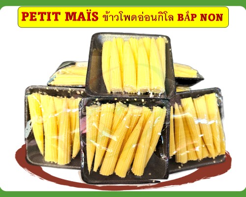Petit maïs Bắp non ข้าวโพดอ่อนกิโล