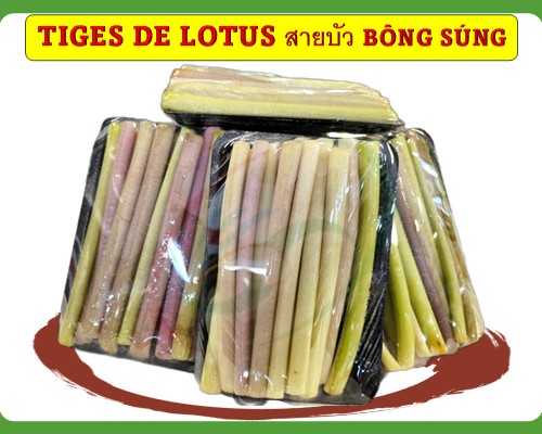 Tiges de lotus สายบัว BÔNG SÚNG