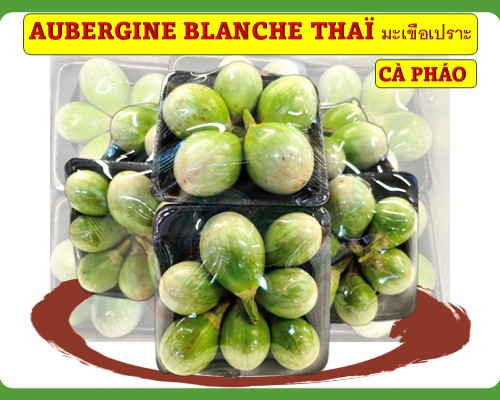 Aubergine blanche Cà pháo มะเขือเปราะ