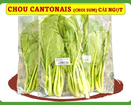 Chou cantonais Cải ngọt Choi sum