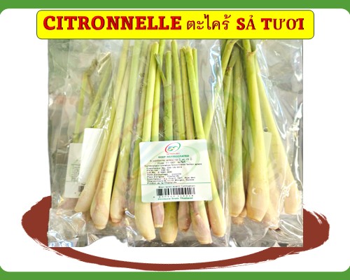 Citronnelle Sả tươi ตะไคร้