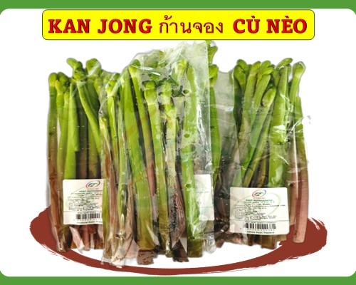 Pak Kan Jong Thaï Cù nèo