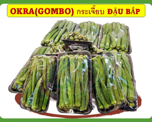 Okra/Gombo Đậu bắp กระเจี๊ยบ 秋葵