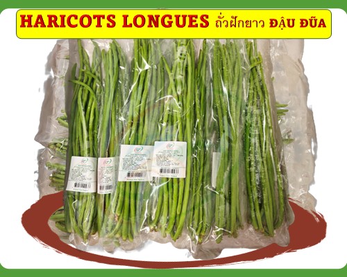 Haricots longues Đậu đũa ถั่วฝักยาว