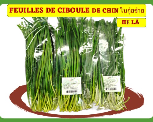 Feuilles de ciboule de Chine Hẹ lá ใบกุ่ยช่าย