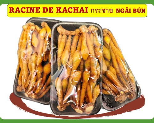Racine de kachai Ngãi bún กระชาย