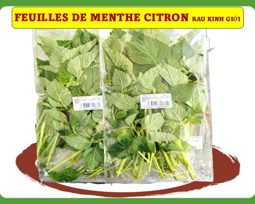 Feuilles de menthe citron RAU KINH GIỚI