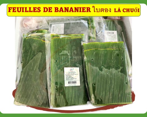 Feuilles de bananier Lá chuối ใบตอง