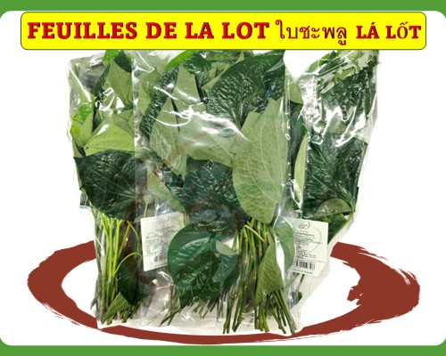 Feuilles de la lot/ Lá lốt ใบชะพลู