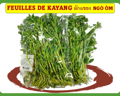 Feuilles de Kayang Ngò ôm ผักแขยง