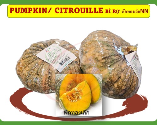 Citrouille Thaï/ Pumpkin/ Bí rợ