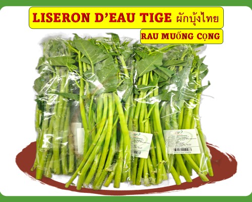 Liseron d’eau Rau muống cọng ผักบุ้งไทย