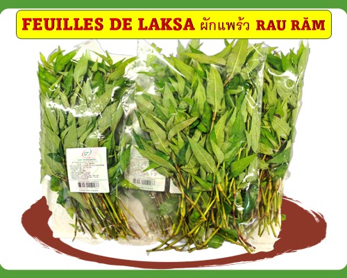 Feuilles de laksa (Pak-Prawe) ผักแพร้ว Rau răm