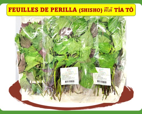 Feuilles de Perilla/ Shisho Tía Tô ตีโต้