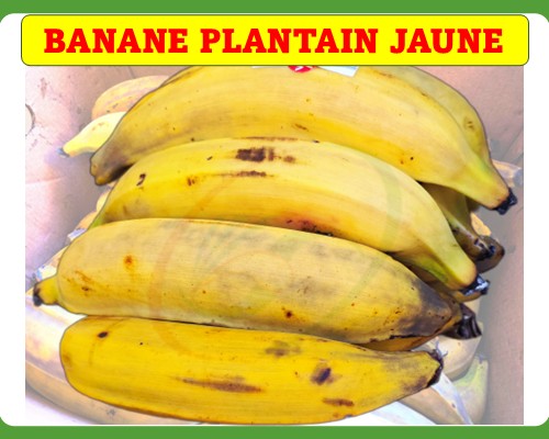 Banane plantain Jaune "Chuối vàng"