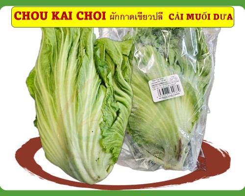Chou KAI CHOI ผักกาดเขียวปลี  Cải muối dưa