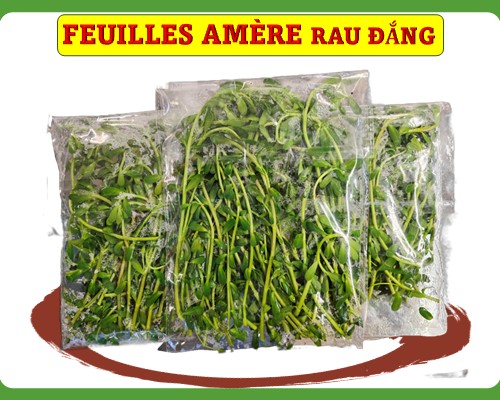 Feuilles amère Rau đắng