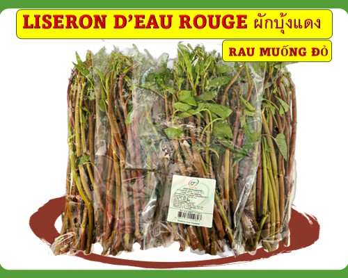 Liseron d’eau rouge ผักบุ้งแดง