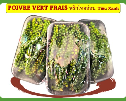 Poivre vert frais พริกไทยอ่อน Tiêu Xanh