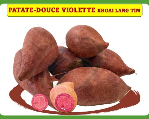 Patate-douce violette/ khoai lang tím