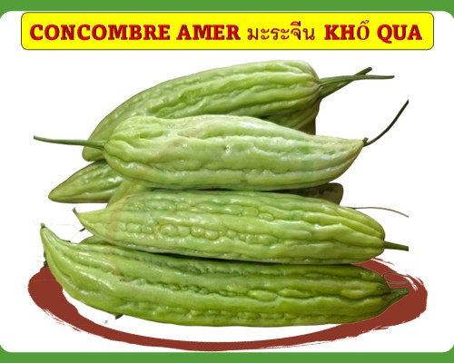 Concombre amer khổ qua