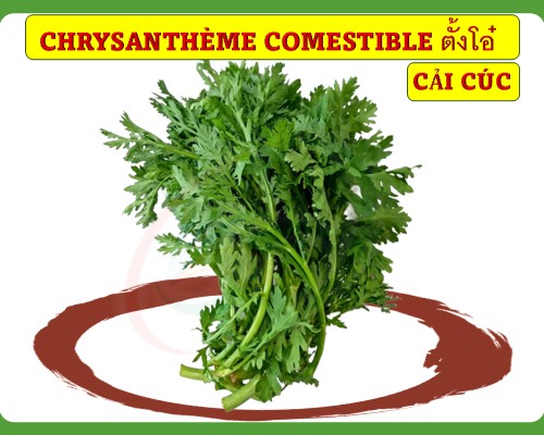 Chrysanthème comestible Cải cúc (Tần ô)