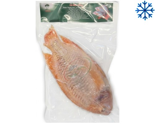 Poisson de tilapia rouge "TCT" Cá diêu hồng