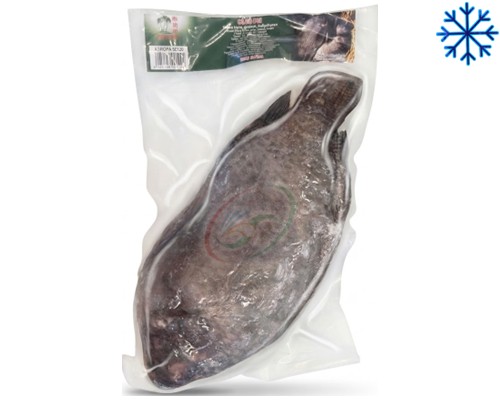 Poisson de tilapia noir "TCT" Cá rô phi